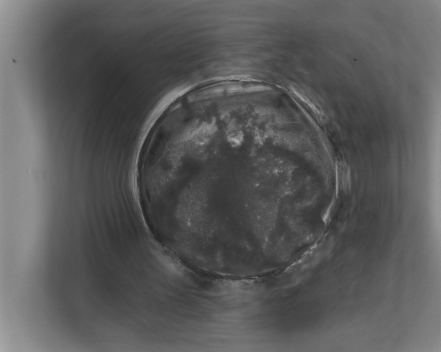 X0000112360147200908271300