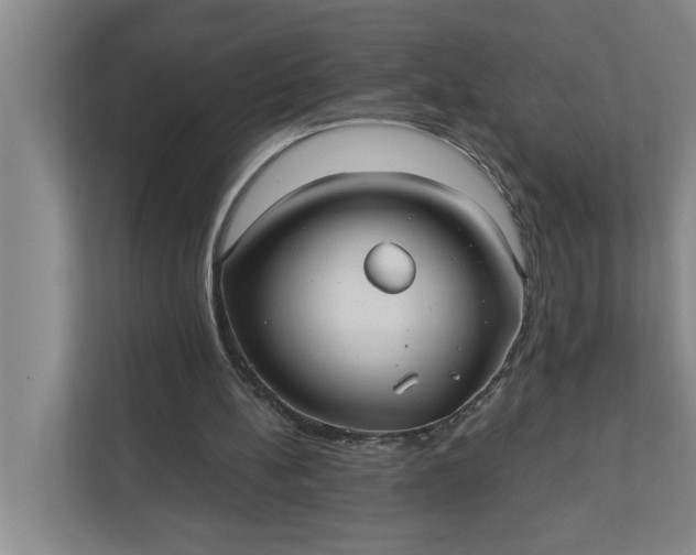 X0000112360148200908271300