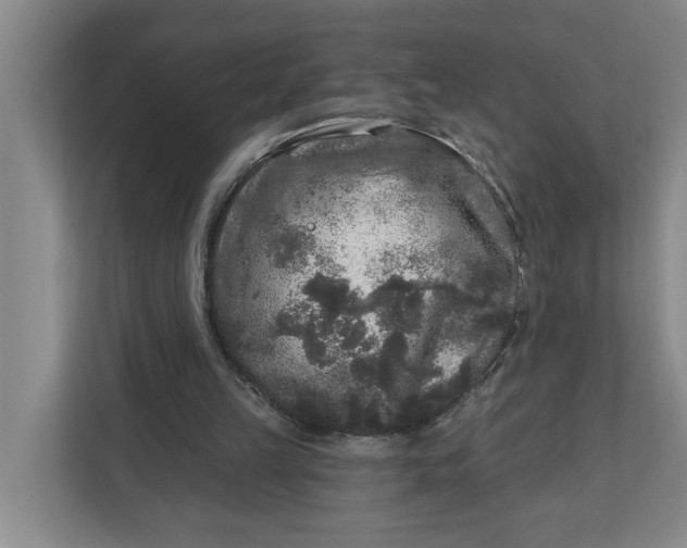 X0000112360149200908271300