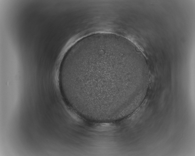 X0000112360151200908271300