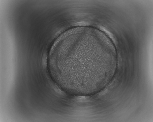 X0000112360153200908271300