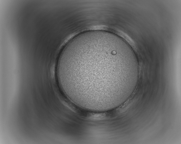 X0000112360155200908271300