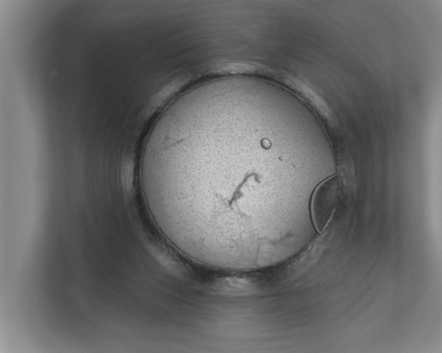 X0000112360159200908271300