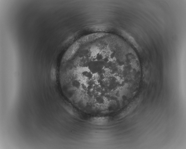 X0000112360161200908271300