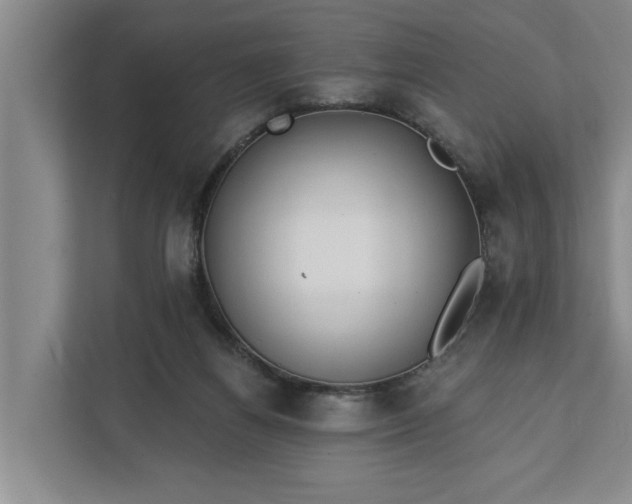 X0000112360164200908271300