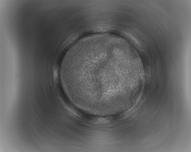 X0000112360166200908271300