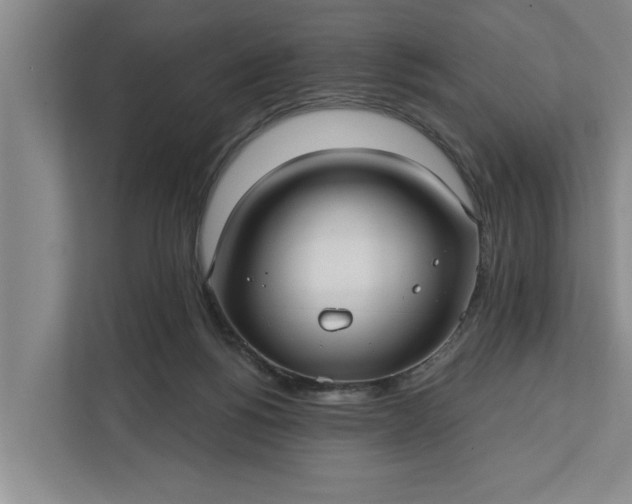 X0000112360168200908271300