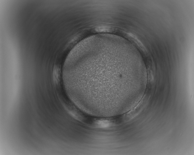 X0000112360171200908271300