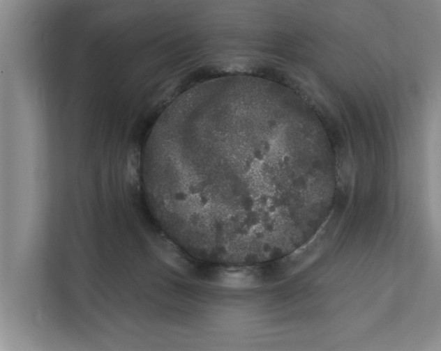 X0000112360175200908271300