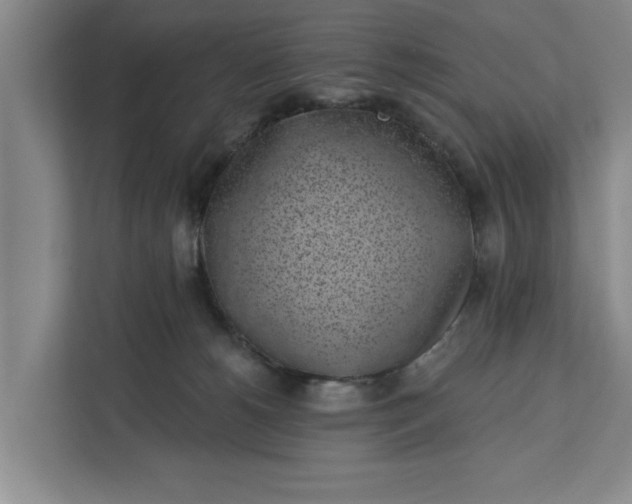 X0000112360180200908271300