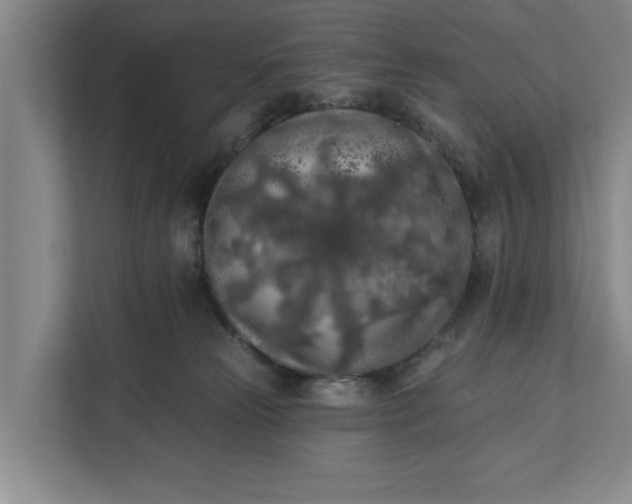 X0000112360181200908271300