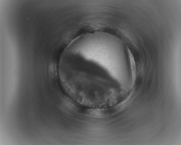 X0000112360182200908271300