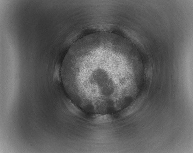 X0000112360185200908271300