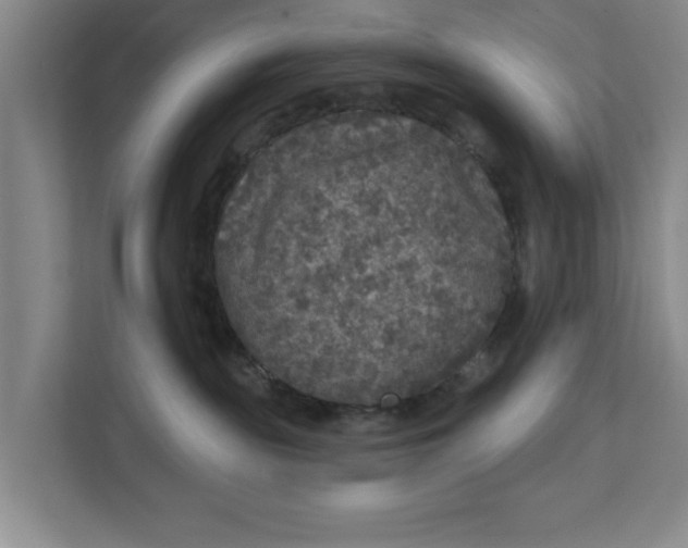 X0000112360189200908271301