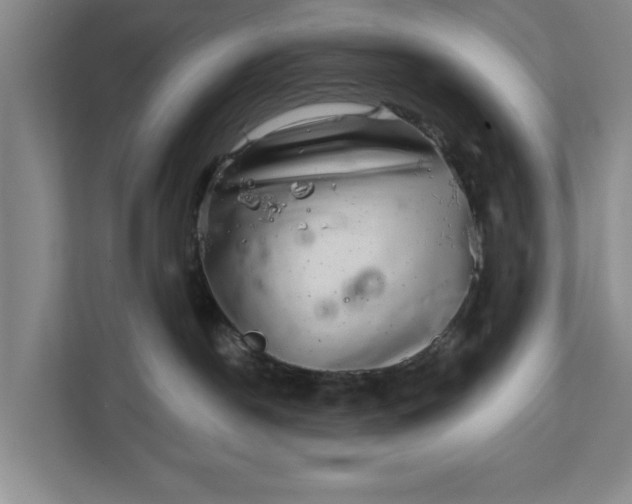 X0000112360190200908271301