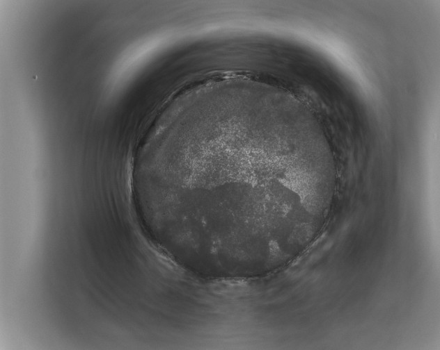 X0000112360194200908271300