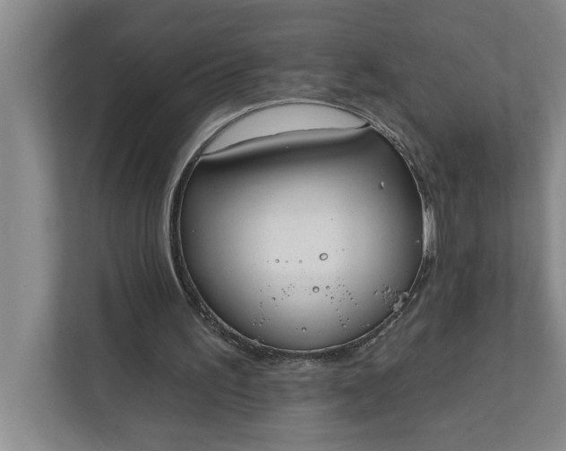 X0000112360195200908271300