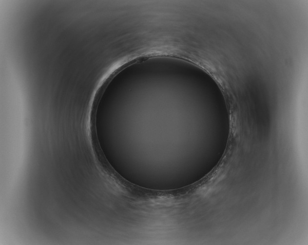 X0000112360196200908271300