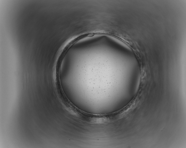 X0000112360200200908271300