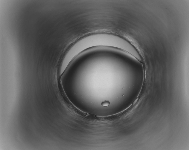 X0000112360201200908271300