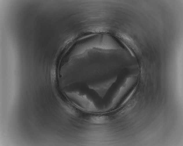 X0000112360202200908271300