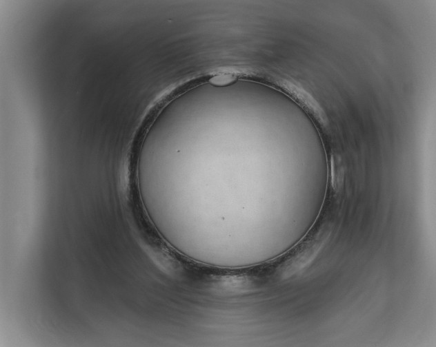 X0000112360204200908271300