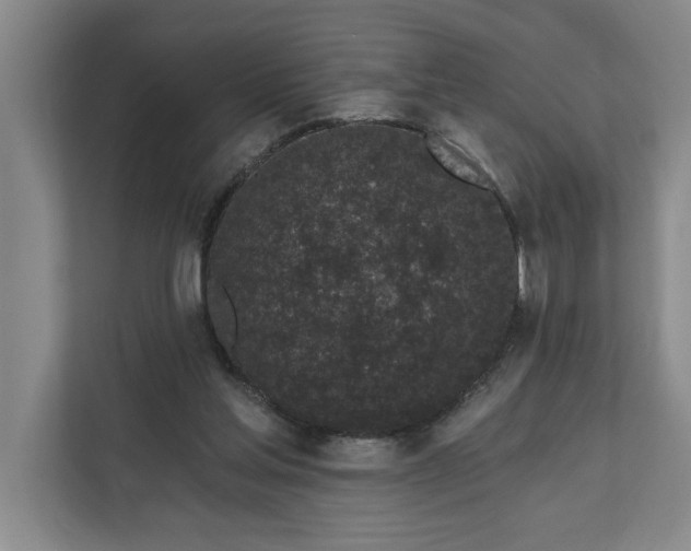 X0000112360205200908271300