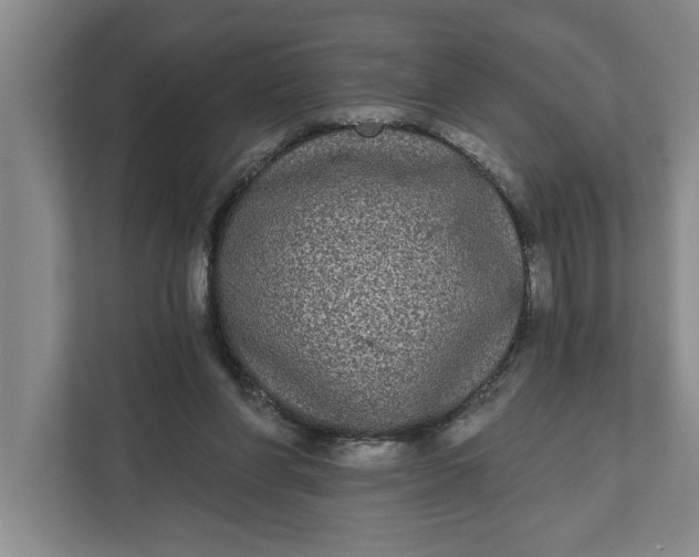 X0000112360206200908271300