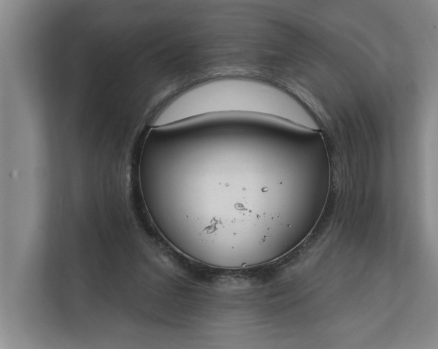 X0000112360207200908271300