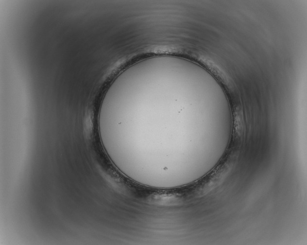 X0000112360208200908271300