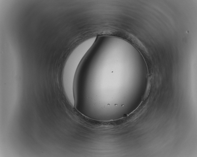 X0000112360209200908271300