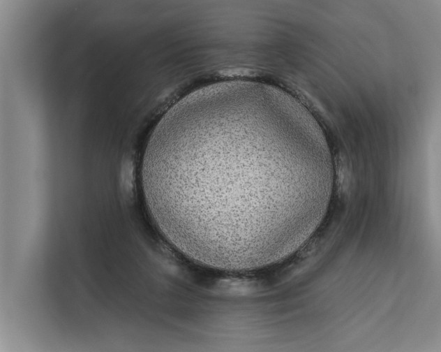 X0000112360211200908271300