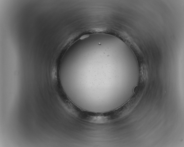 X0000112360212200908271300