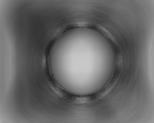 X0000112360213200908271300