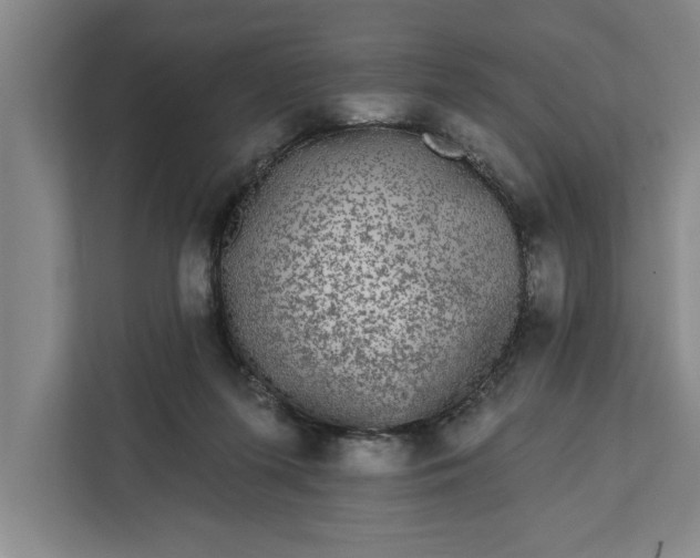 X0000112360215200908271300