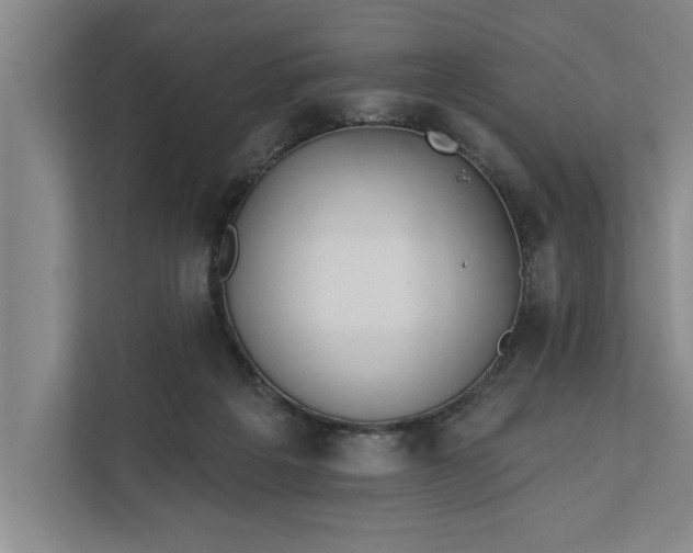 X0000112360217200908271300