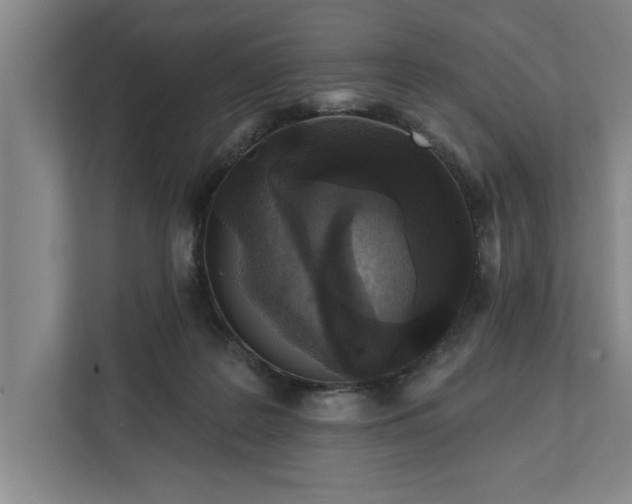 X0000112360219200908271300