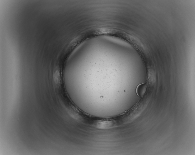 X0000112360220200908271300