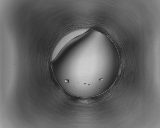 X0000112360221200908271300