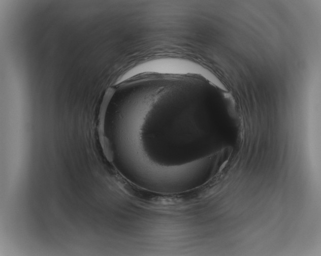 X0000112360223200908271300