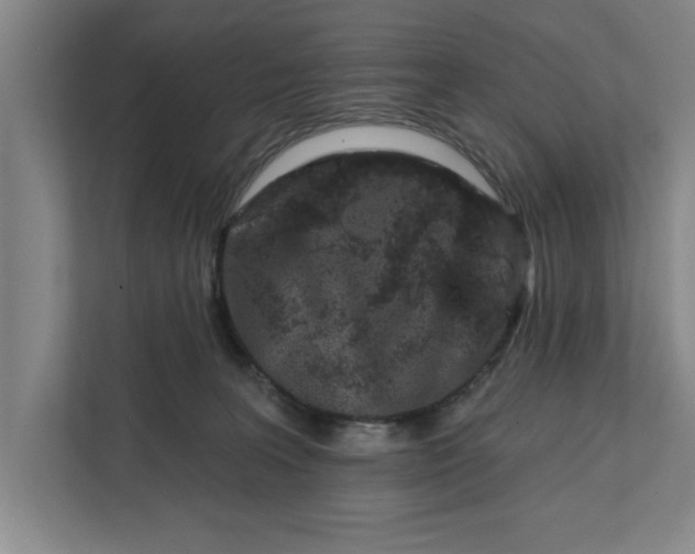 X0000112360227200908271259