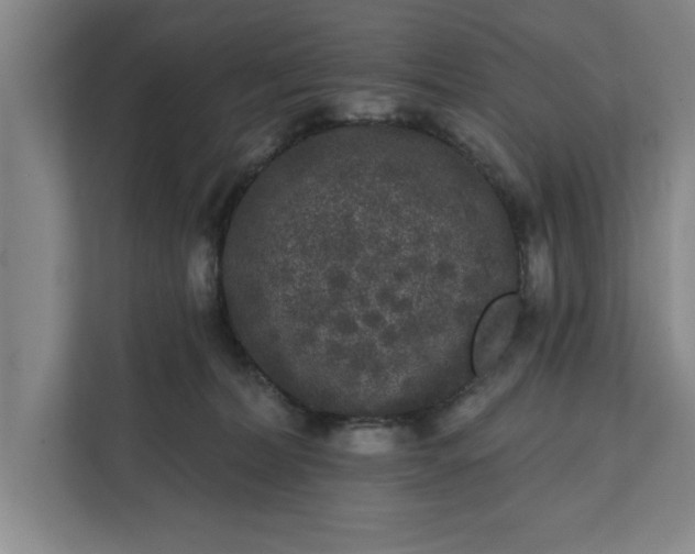 X0000112360228200908271259