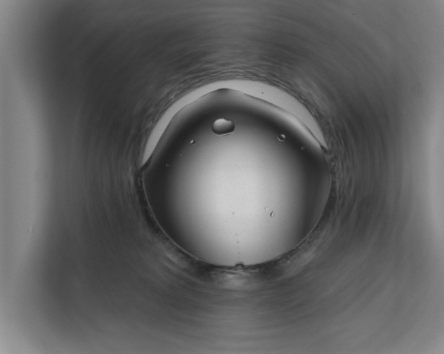 X0000112360229200908271259