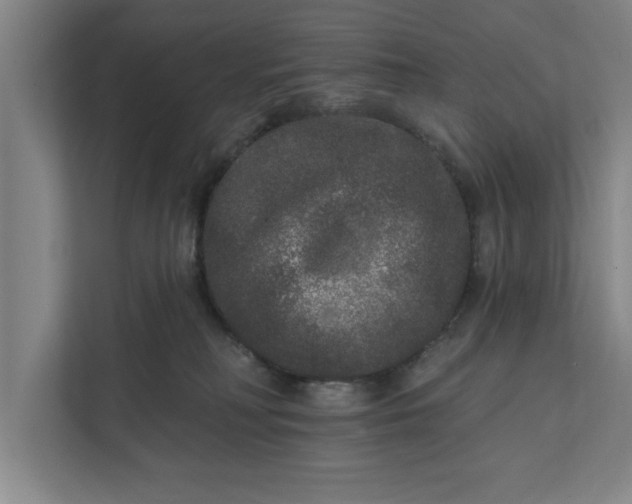 X0000112360230200908271259