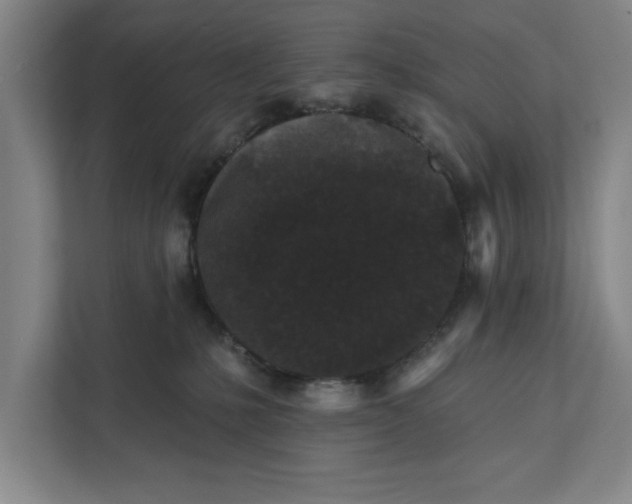 X0000112360231200908271259