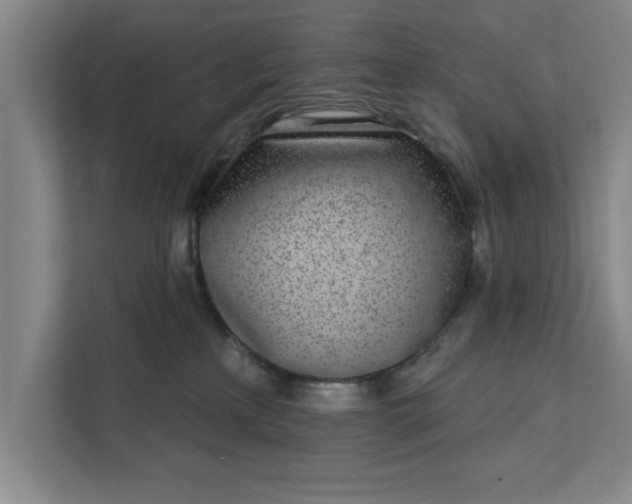 X0000112360233200908271259