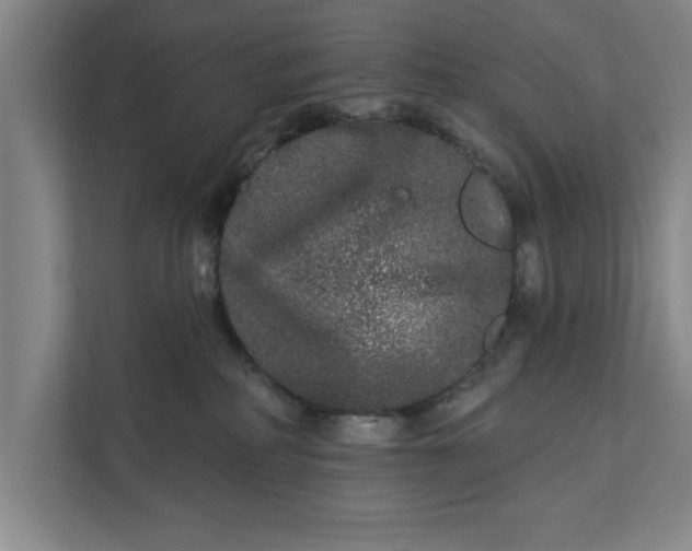 X0000112360234200908271259