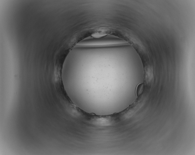 X0000112360236200908271259