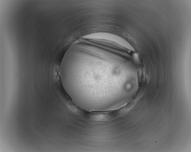 X0000112360237200908271259