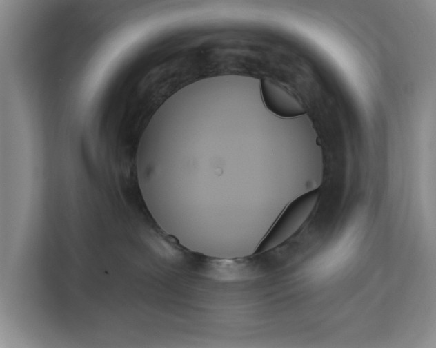 X0000112360239200908271259